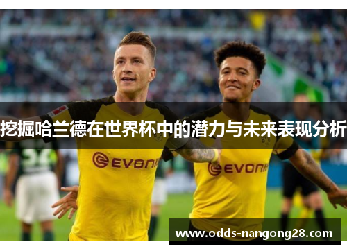 挖掘哈兰德在世界杯中的潜力与未来表现分析