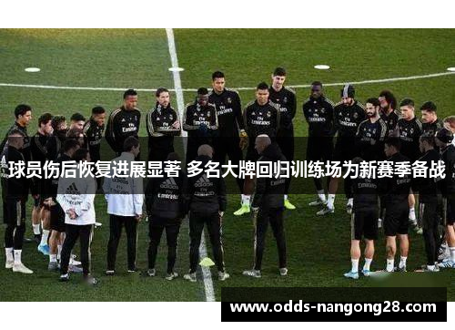 球员伤后恢复进展显著 多名大牌回归训练场为新赛季备战