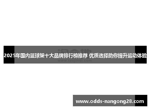 2025年国内篮球架十大品牌排行榜推荐 优质选择助你提升运动体验