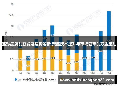 篮球品牌创新发展趋势解析 聚焦技术提升与市场变革的双重驱动