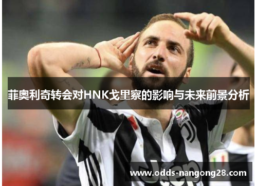 菲奥利奇转会对HNK戈里察的影响与未来前景分析