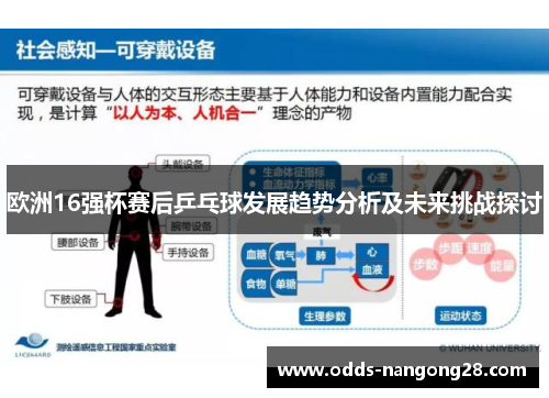 欧洲16强杯赛后乒乓球发展趋势分析及未来挑战探讨