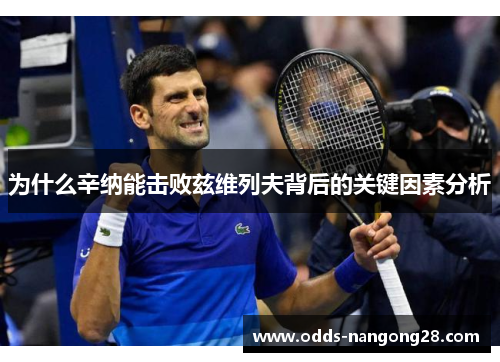为什么辛纳能击败兹维列夫背后的关键因素分析