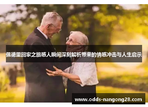 佩德里回家之旅感人瞬间深刻解析带来的情感冲击与人生启示