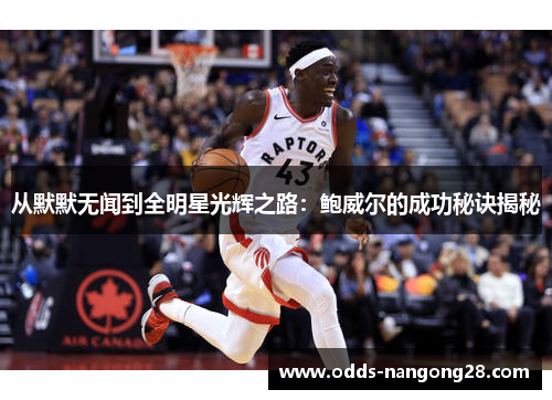 从默默无闻到全明星光辉之路：鲍威尔的成功秘诀揭秘