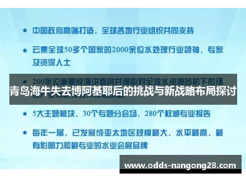 青岛海牛失去博阿基耶后的挑战与新战略布局探讨